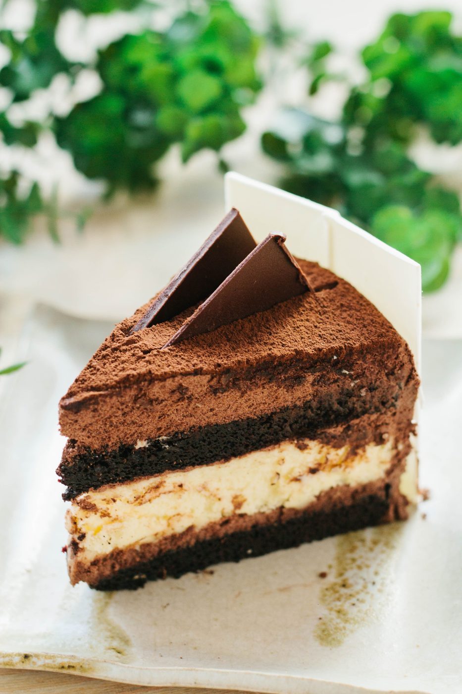 Slice of chocolate mousse cake